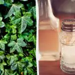 Gebenė neišgyvens: 2 centų virtuvės priemonės, kurios suveikia per kelias