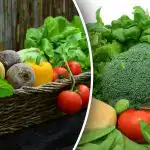 Kaip neprarasti derliaus: sodininkai perspėjo nesodinti iš sėklų