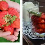 Kas nutinka organizmui, jei braškes valgai kasdien: atsako mitybos specialistai