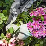 Kokius augalus būtinai reikia genėti balandžio mėnesį: sodininkas įvardijo 5