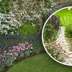 Piktžolės išnyks tiesiai prieš akis: gudrus triukas sode sukurs tikrą