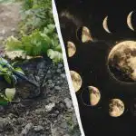 Šiomis balandžio dienomis reikėtų pamiršti sodą: tikslus mėnesio sėjos kalendorius