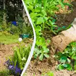 Tokiu būdu lysves ravėti 2 kartus lengviau ir greičiau: visai