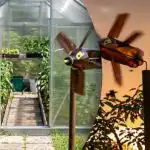 Vienas prietaisas nuo starkių ir kurmių: paprastas sprendimas jūsų svetainei